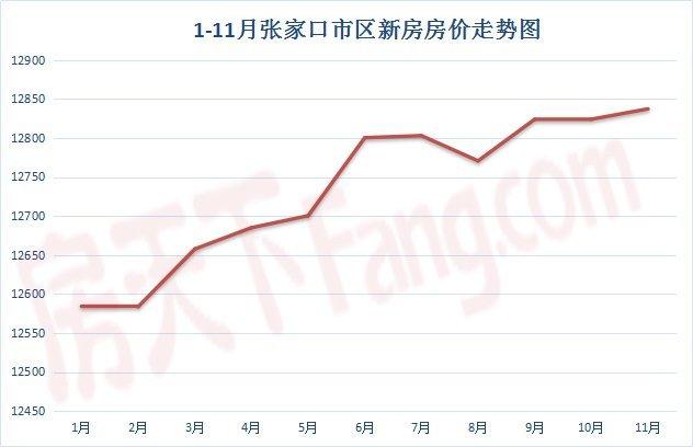 2024年12月3日 第10页