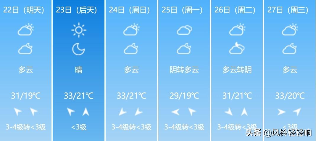 2024年12月6日 第20页