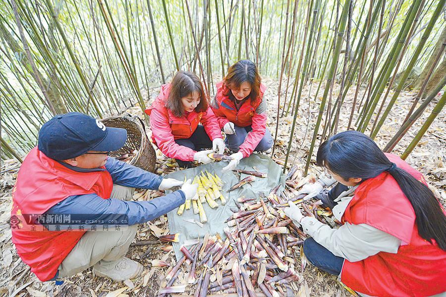 龙胜各族自治县科技局领导团队探索与实践科技发展之路