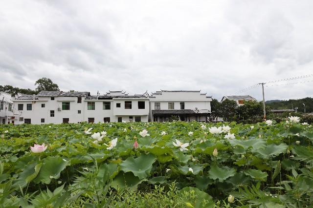 广昌县科技局招聘信息发布与职场发展动态探秘