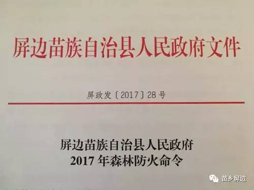 屏边苗族自治县科技局人事任命展望，新领导引领科技未来