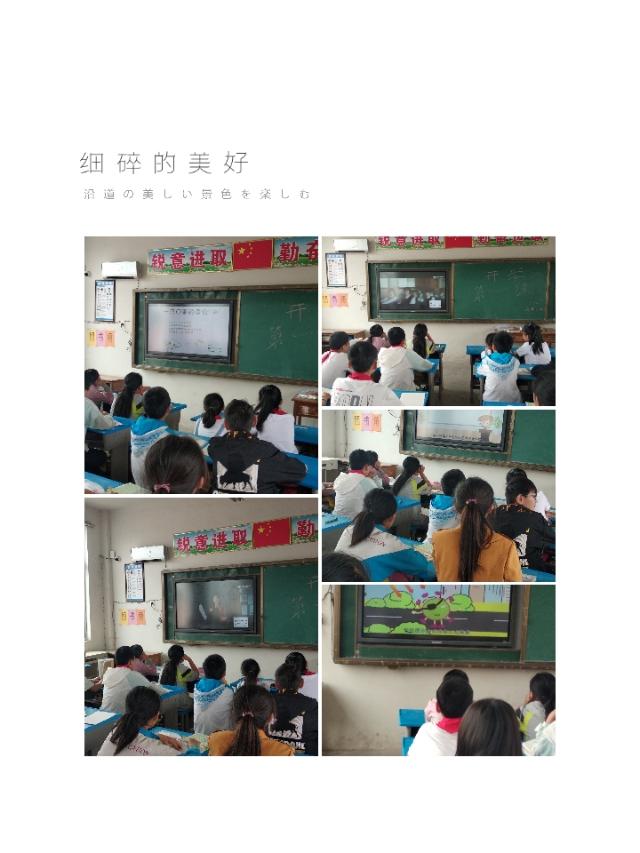 峨山彝族自治县小学最新动态报道