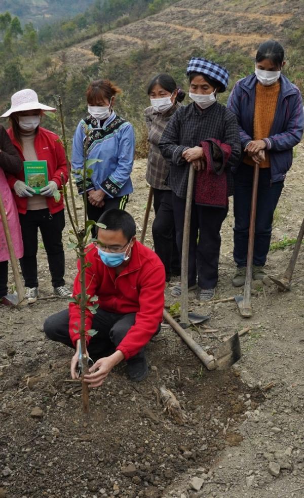 望谟县科技局等新闻动态深度解析报告发布