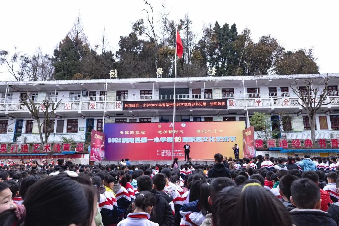 纳雍县小学人事任命揭晓，引领教育迈向新篇章