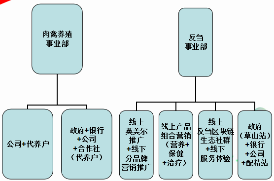 四方区特殊教育事业单位发展规划展望