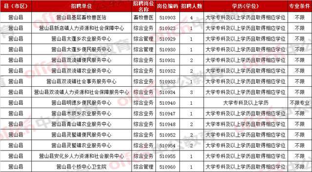 营山县小学最新招聘启事概览