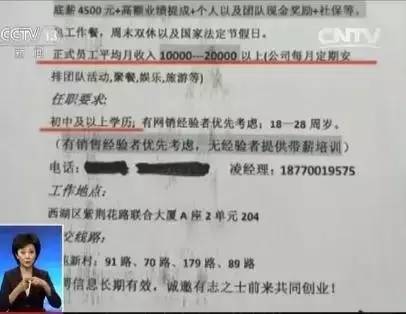 翠峦区初中最新招聘信息概览