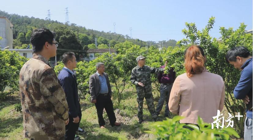 城口县特殊教育事业单位发展规划展望