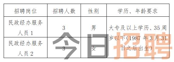 沈丘县文化局最新招聘信息与职位详解