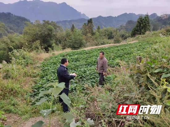 武陵源区司法局深化法治建设，服务社区发展新项目启动