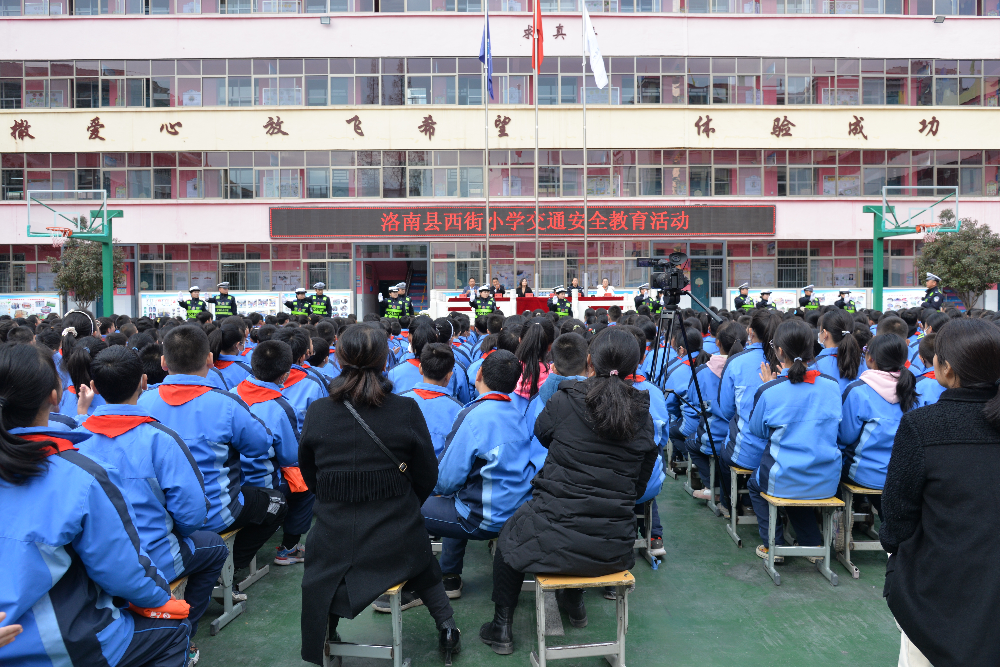 洛南县小学最新动态报道