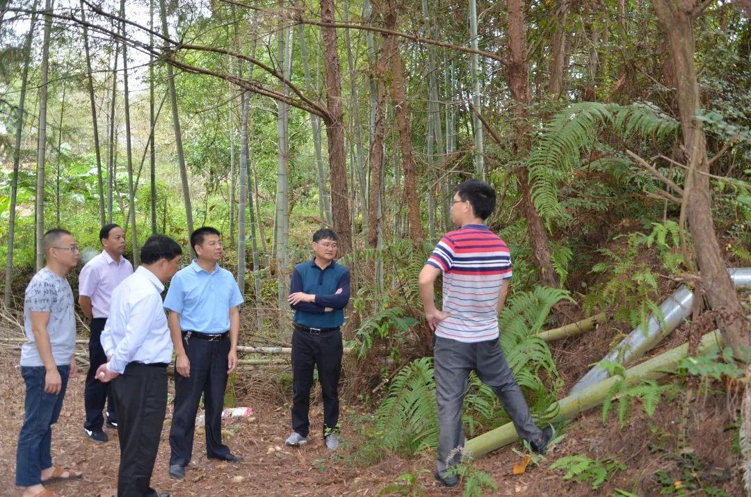 梁山县水利局发展规划，构建可持续水利未来之路