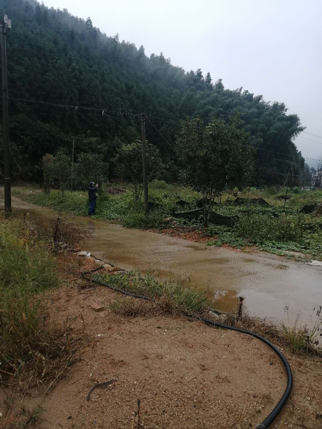 梨溪镇天气预报更新通知