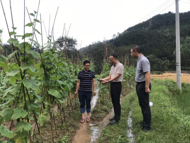 灵川县发展和改革局领导团队最新概述