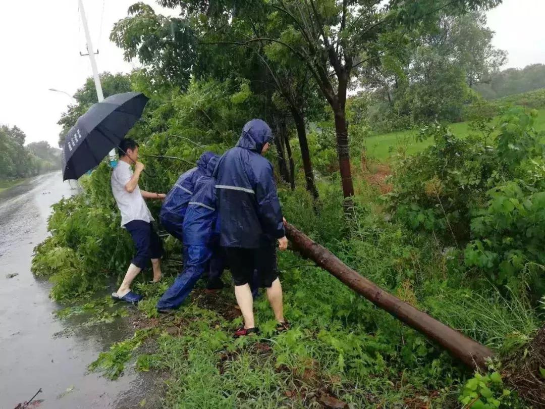 海盐县审计局最新招聘信息详解