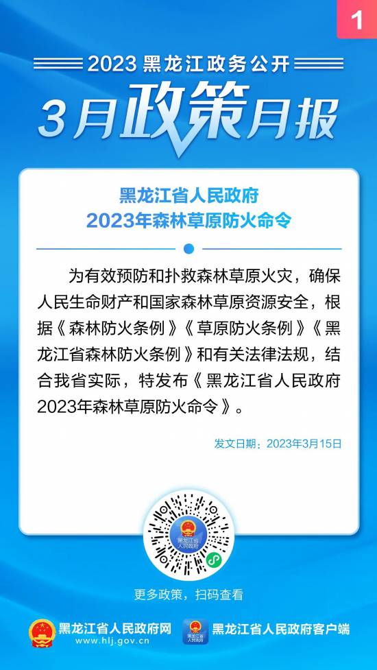 河口区人民政府办公室人事任命重塑领导团队，开启地区发展新篇章